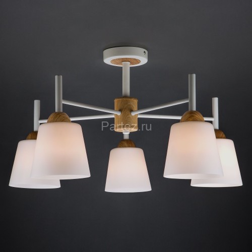 Потолочная люстра Eurosvet 70085/5 белый