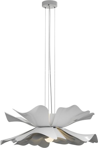 Подвесная люстра Lightera LE116L-60W