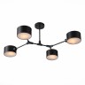Потолочная люстра Evoluce SLE183402-04
