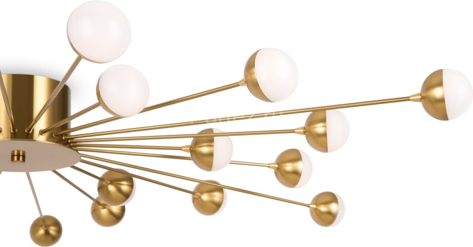 Потолочная люстра Freya FR5242CL-24BS