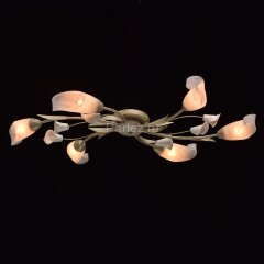 Потолочная люстра MW-Light 242016906