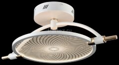 Потолочная люстра Wertmark WE430.01.007