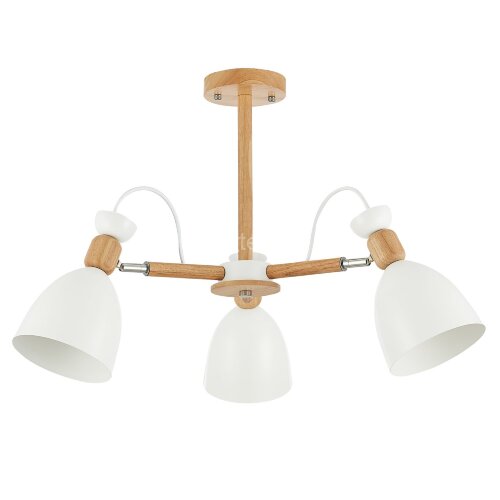 Потолочная люстра Evoluce SLE103802-03