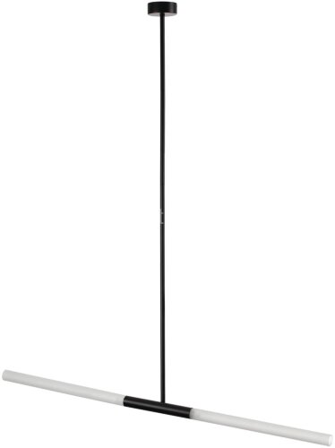 Потолочная люстра Odeon Light 4307/2