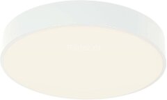 Потолочный светильник F-Promo 4683-4C