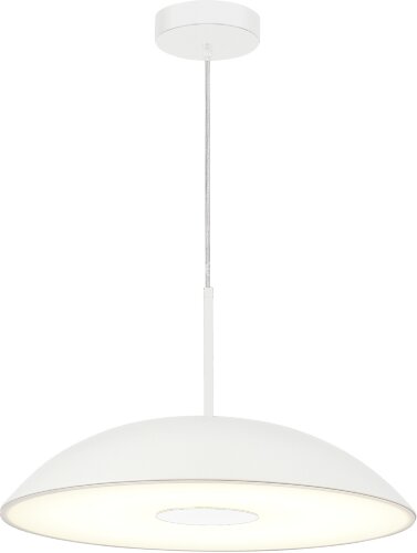 Подвесной светильник ST Luce SL6128.503.01