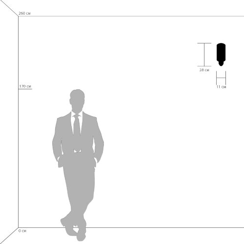 Настенный светильник Lightstar 808610