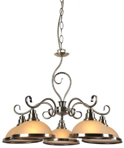 Подвесная люстра Arte Lamp A6905LM-5AB