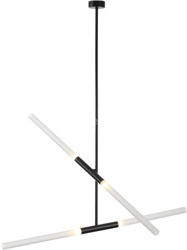 Потолочная люстра Odeon Light 4307/4