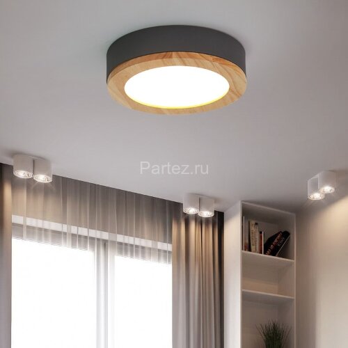 Потолочный светильник ImperiumLoft WUDDA01