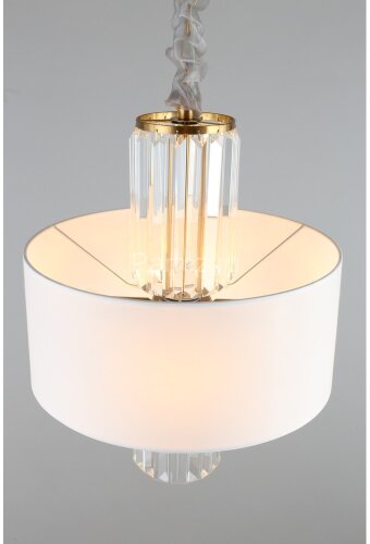 Подвесная люстра Aployt APL.841.13.04