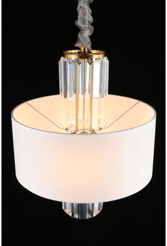 Подвесная люстра Aployt APL.841.13.04