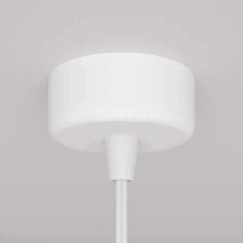 Подвесной светильник Maytoni P038PL-01W