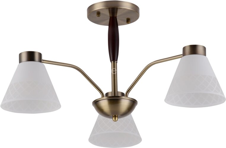 Потолочная люстра Reluce 00536-0.3-03