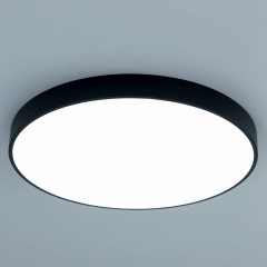 Потолочный светильник Citilux CL724105G1