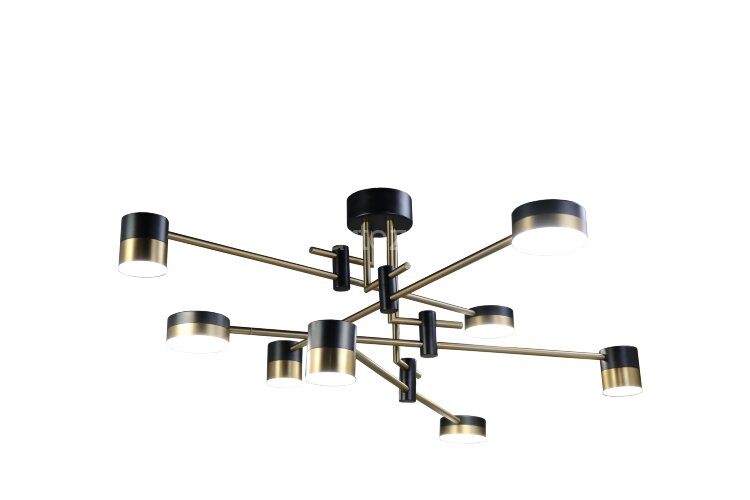 Потолочная люстра Zortes ZRS.1805.08