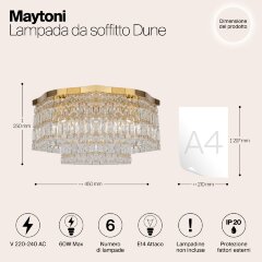 Потолочная люстра Maytoni DIA005CL-06G