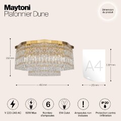 Потолочная люстра Maytoni DIA005CL-06G