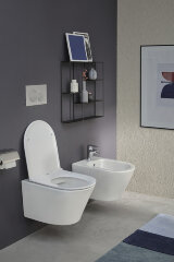 Сиденье для унитаза Jacob Delafon Rodin+ с микролифтом, белое (E23280-00)