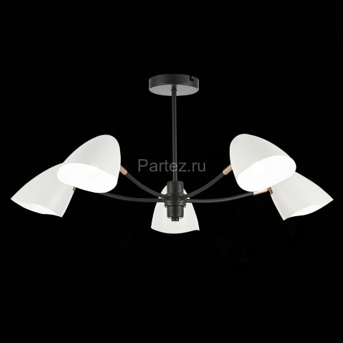 Потолочная люстра Evoluce SLE103602-05