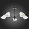 Потолочная люстра Evoluce SLE103602-05