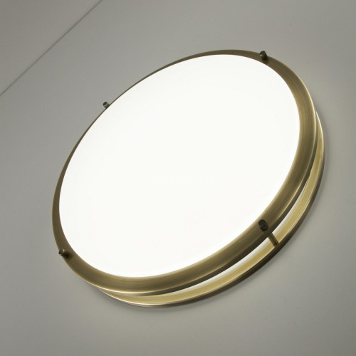 Настенно-потолочный светильник Citilux CL709503N