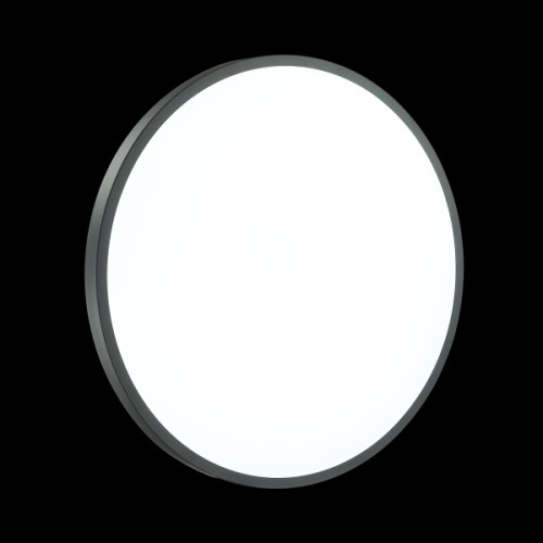 Настенно-потолочный светильник Sonex 3012/DL