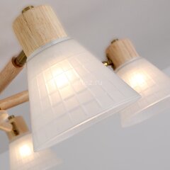 Потолочная люстра Arte Lamp A4096PL-8BR