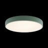 Потолочный светильник Loft It 10002/24 Green