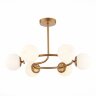 Потолочная люстра Evoluce SLE220602-06