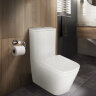 Унитаз-компакт Azario Rise 385х623х792 напольный, безободковый с быстросъемным сиденьем микролифт (A