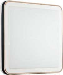 Настенно-потолочный светильник Sonex 7621/DL