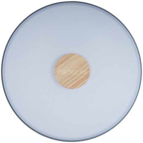 Потолочный светильник Loft It 10003/24 Grey