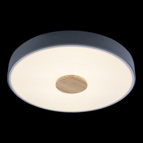 Потолочный светильник Loft It 10003/24 Grey