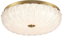 Потолочный светильник Sonex 7719/48L