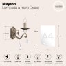Бра Maytoni RC247-WL-01-R