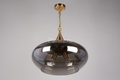 Подвесная люстра Aployt APL.601.16.03