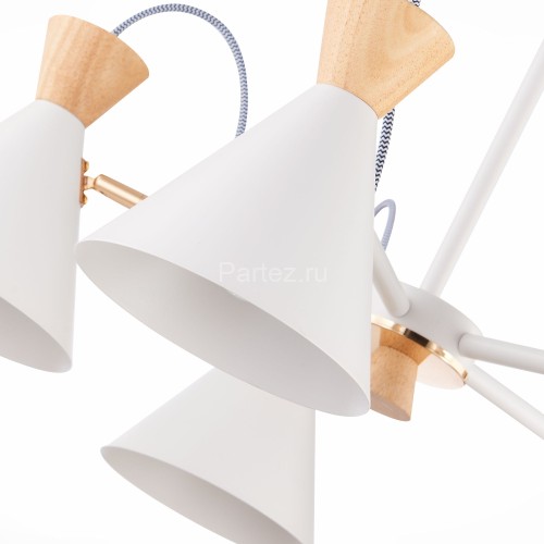 Потолочная люстра Evoluce SLE125102-05