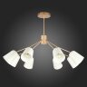Потолочная люстра Evoluce SLE155902-08