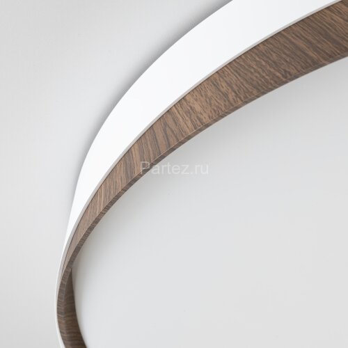 Потолочный светильник Citilux CL754450G