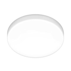 Потолочный светильник Elektrostandard DLR043