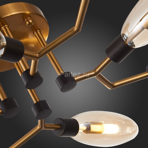 Потолочная люстра ST Luce SL1174.302.08