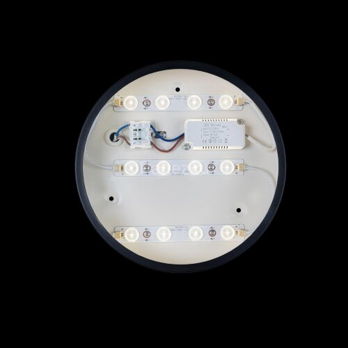 Потолочный светильник Loft It 10002/12 Black