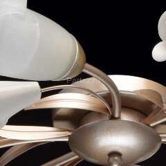 Потолочная люстра MW-Light 242016306