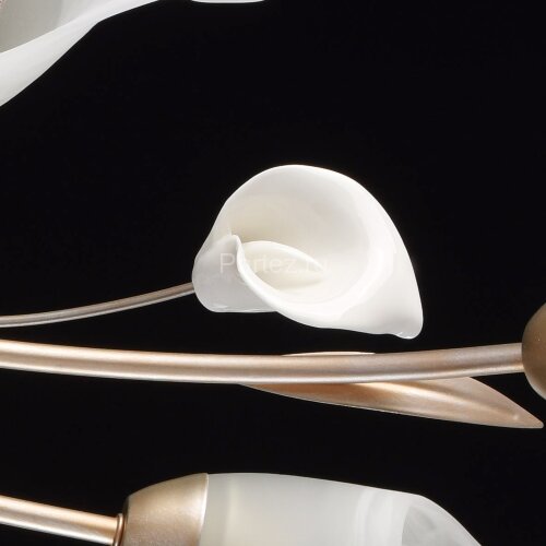 Потолочная люстра MW-Light 242016306