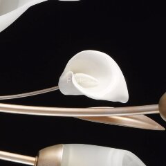 Потолочная люстра MW-Light 242016306