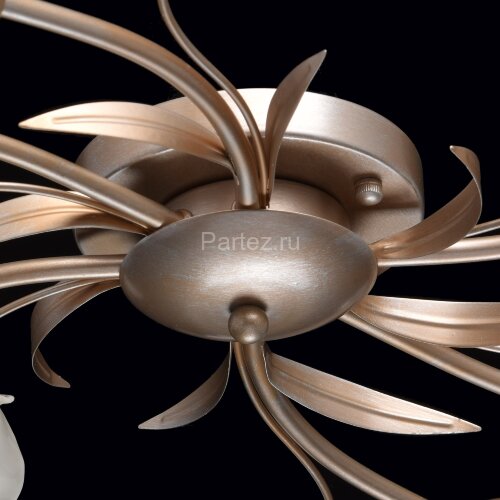 Потолочная люстра MW-Light 242016306