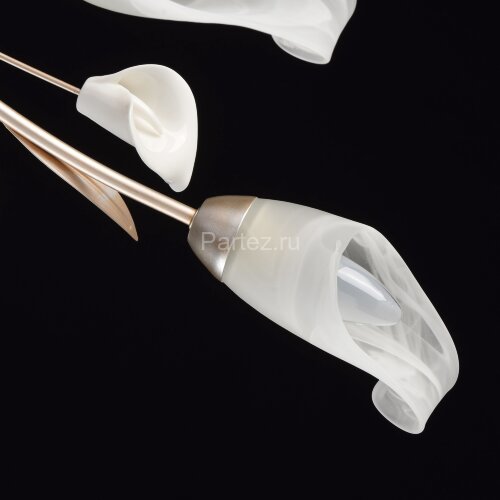 Потолочная люстра MW-Light 242016306