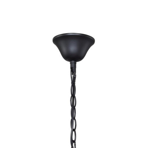 Подвесная люстра F-Promo 2169-5P