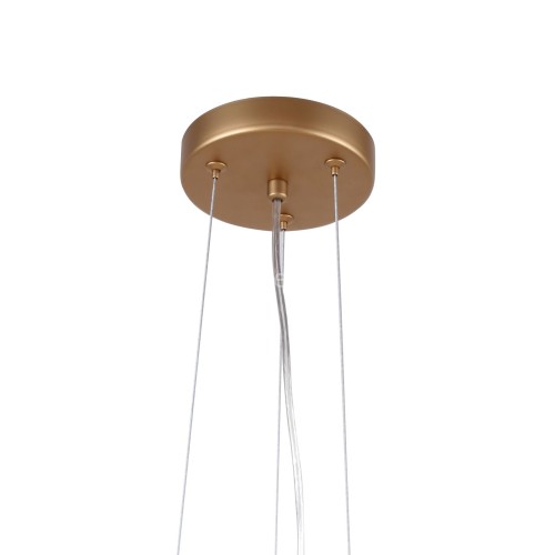 Подвесная люстра Favourite 2515-10P